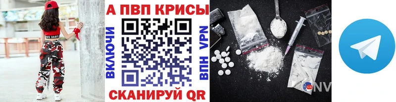 OMG как войти  Элиста  А ПВП СК КРИС 