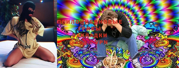индика Алзамай