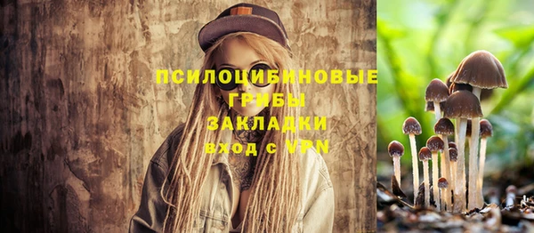 apvp Алексеевка