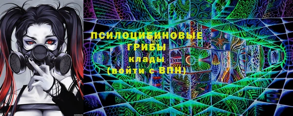 индика Алзамай