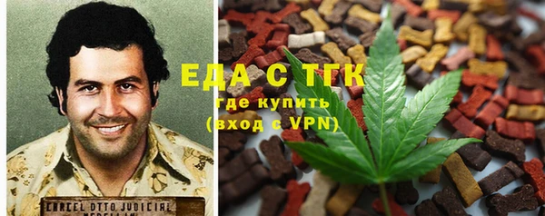 индика Алзамай