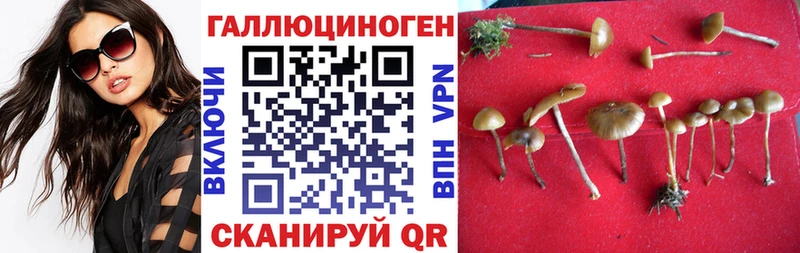 Псилоцибиновые грибы мухоморы  mega как войти  Элиста 